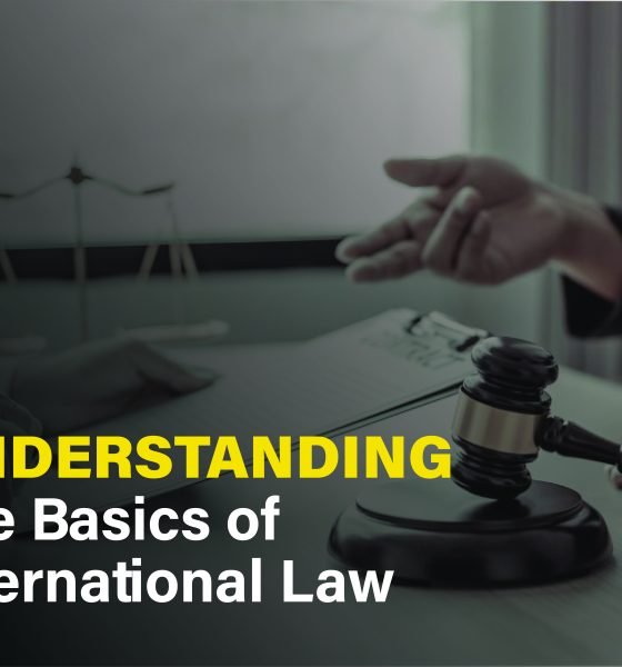 Illustrating the core concepts of international law, including its sources, state sovereignty and key legal areas shaping global relations.
