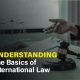 Illustrating the core concepts of international law, including its sources, state sovereignty and key legal areas shaping global relations.
