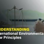 International environmental law principles, highlighting global cooperation and legal frameworks for environmental protection.