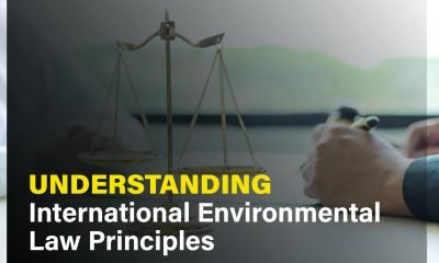 International environmental law principles, highlighting global cooperation and legal frameworks for environmental protection.