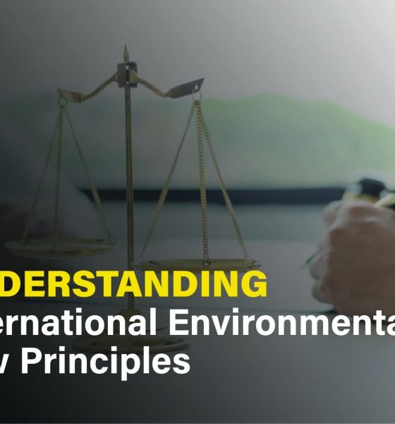International environmental law principles, highlighting global cooperation and legal frameworks for environmental protection.