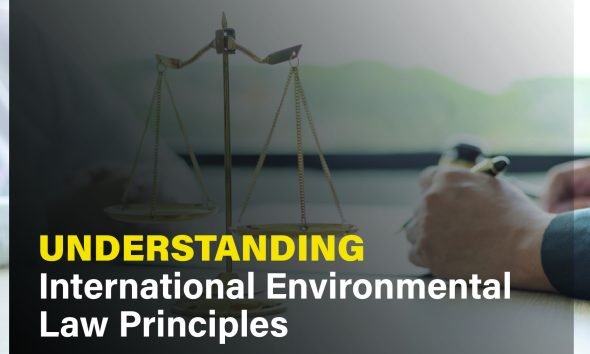 International environmental law principles, highlighting global cooperation and legal frameworks for environmental protection.
