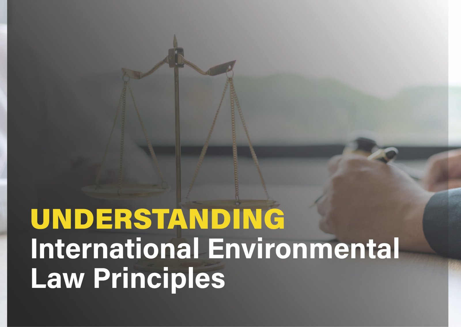 International environmental law principles, highlighting global cooperation and legal frameworks for environmental protection.